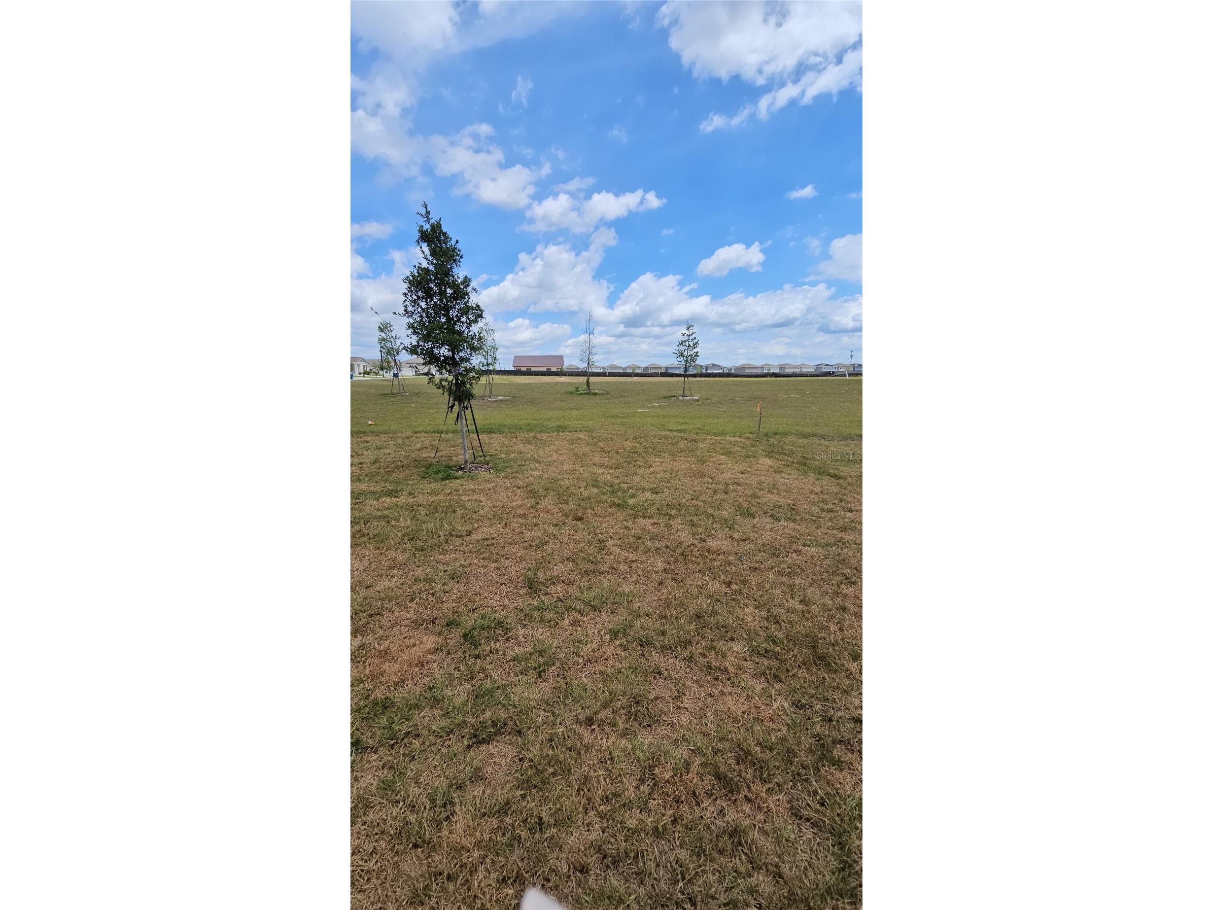 3383 Alexander Drive Lake Wales FL 33853 O6406555 image11