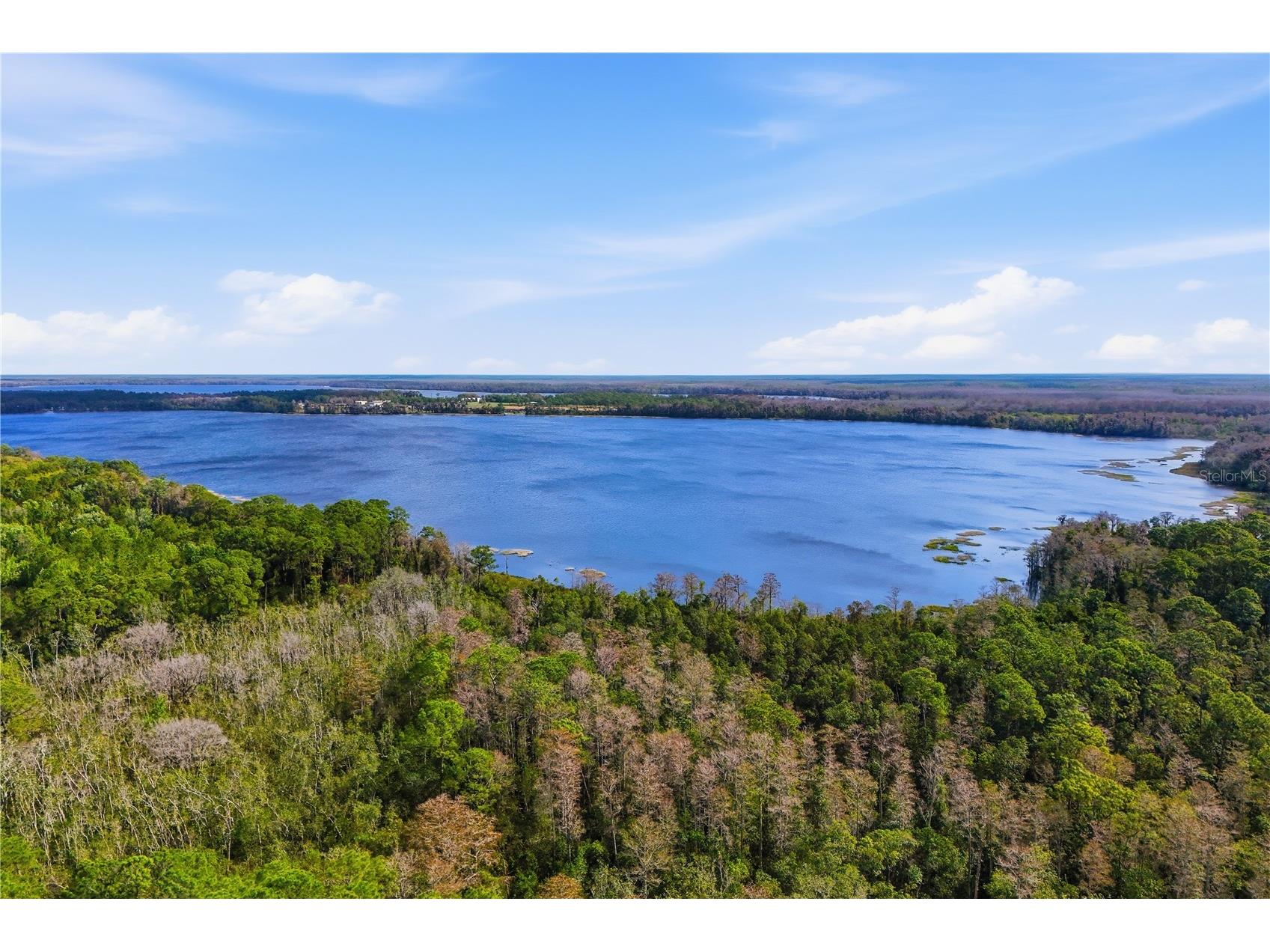 3383 Sagebrush Street Harmony FL 34773 - Buck Lake O6390179 image10