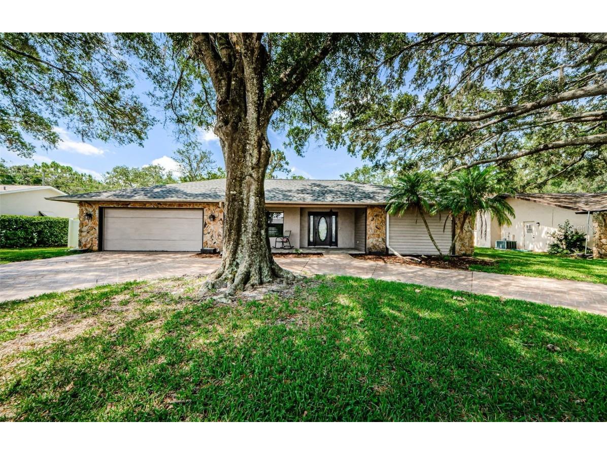 3384 Brian Road S Palm Harbor FL 34685 U8205359 image1