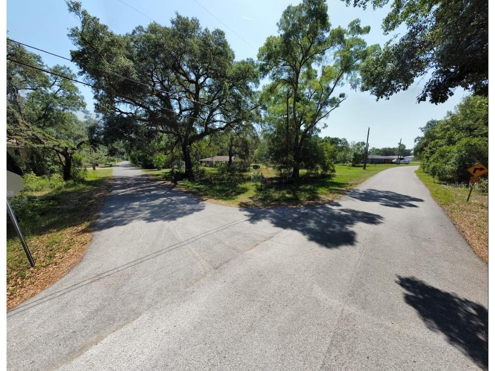 3384 Riderwood Drive Dade City FL 33523 U8200236 image1