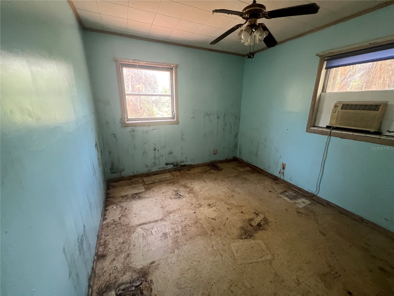 33845 Crestwood Avenue Leesburg FL 34788 G5114873 image20