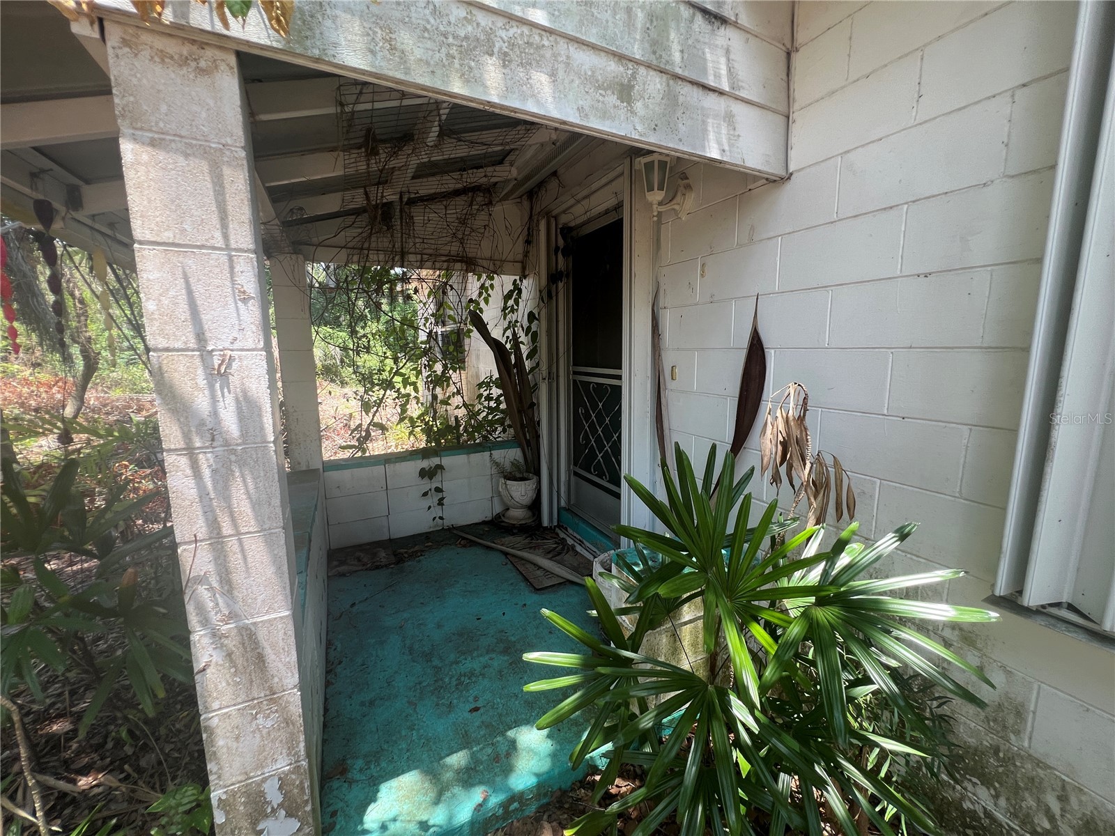 33845 Crestwood Avenue Leesburg FL 34788 G5114873 image4