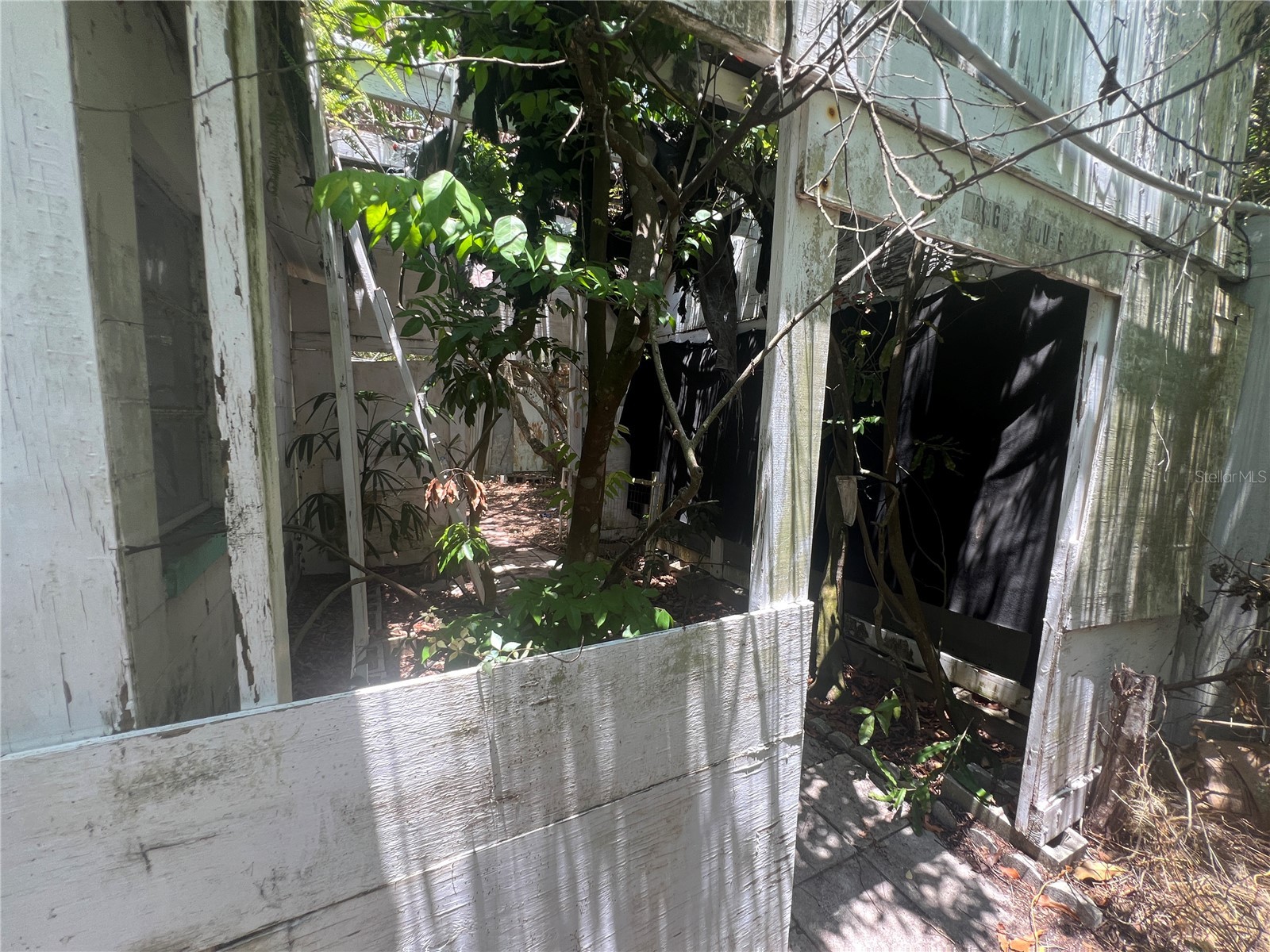 33845 Crestwood Avenue Leesburg FL 34788 G5114873 image7