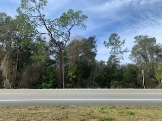 338533773369 Mckethan Road Dade City FL 33523 T3496563 image1