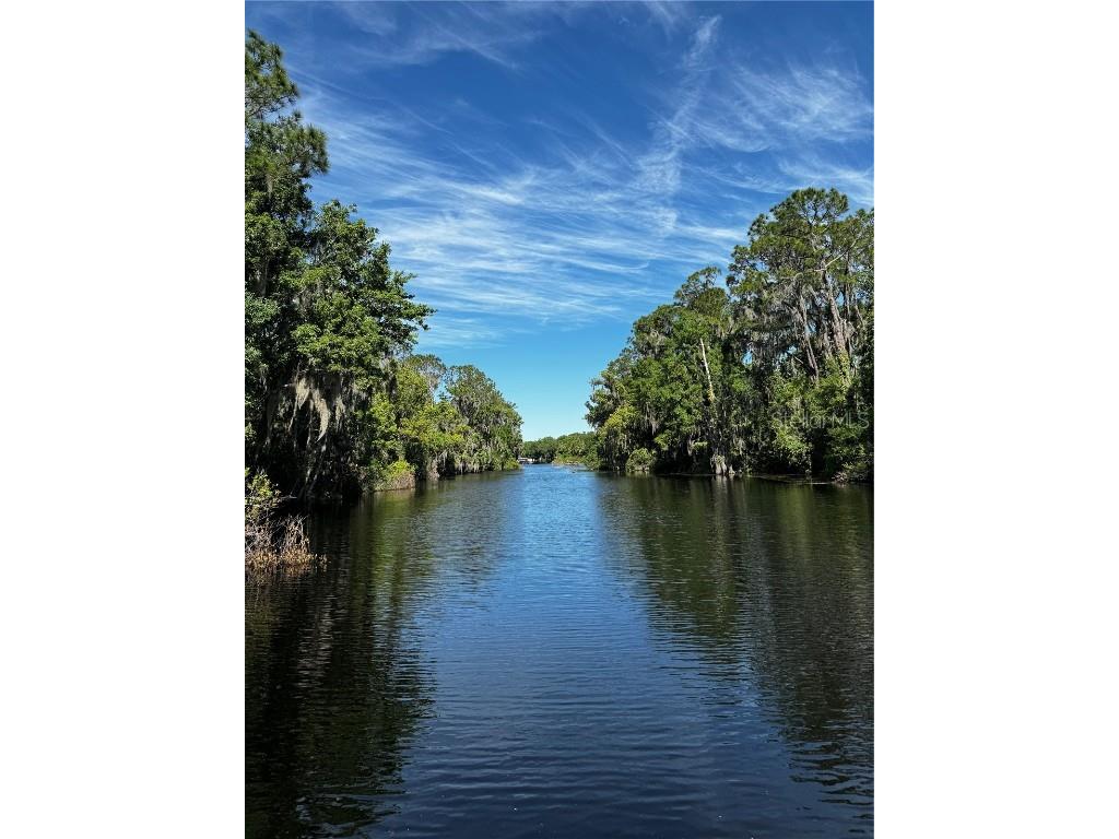 3385 Lake Diane Road Tavares FL 32778 - HARRIS CHAIN OF LAKES S5138112 image31