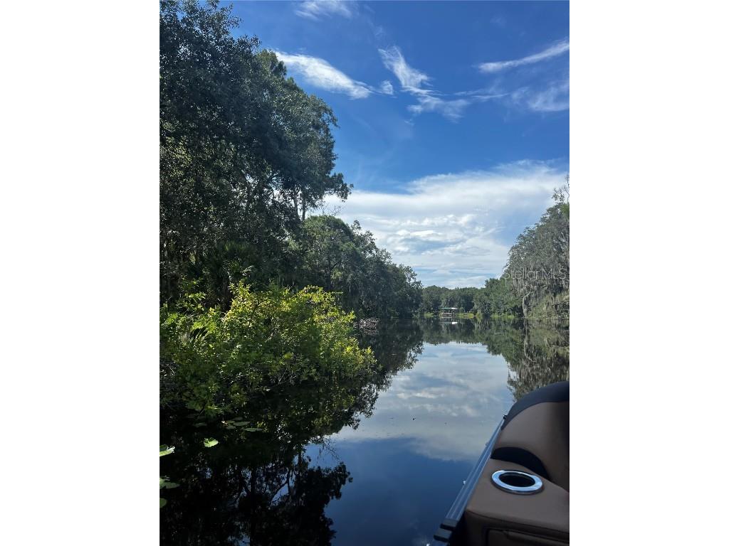 3385 Lake Diane Road Tavares FL 32778 - HARRIS CHAIN OF LAKES S5138112 image45