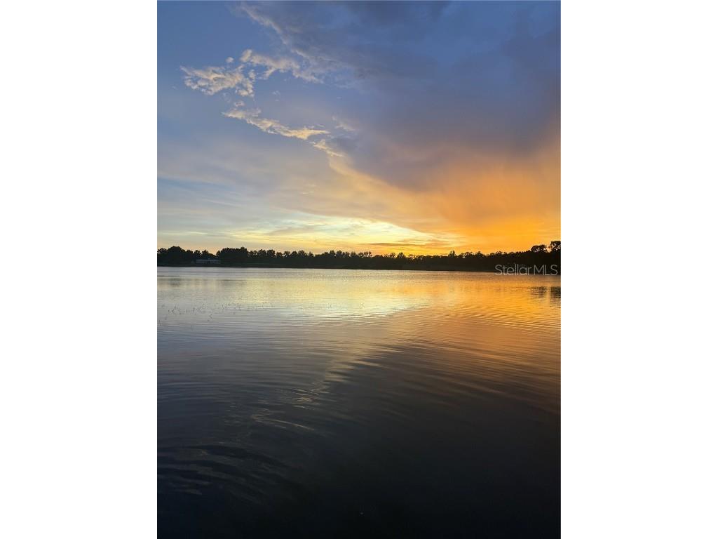 3385 Lake Diane Road Tavares FL 32778 - HARRIS CHAIN OF LAKES S5138112 image48