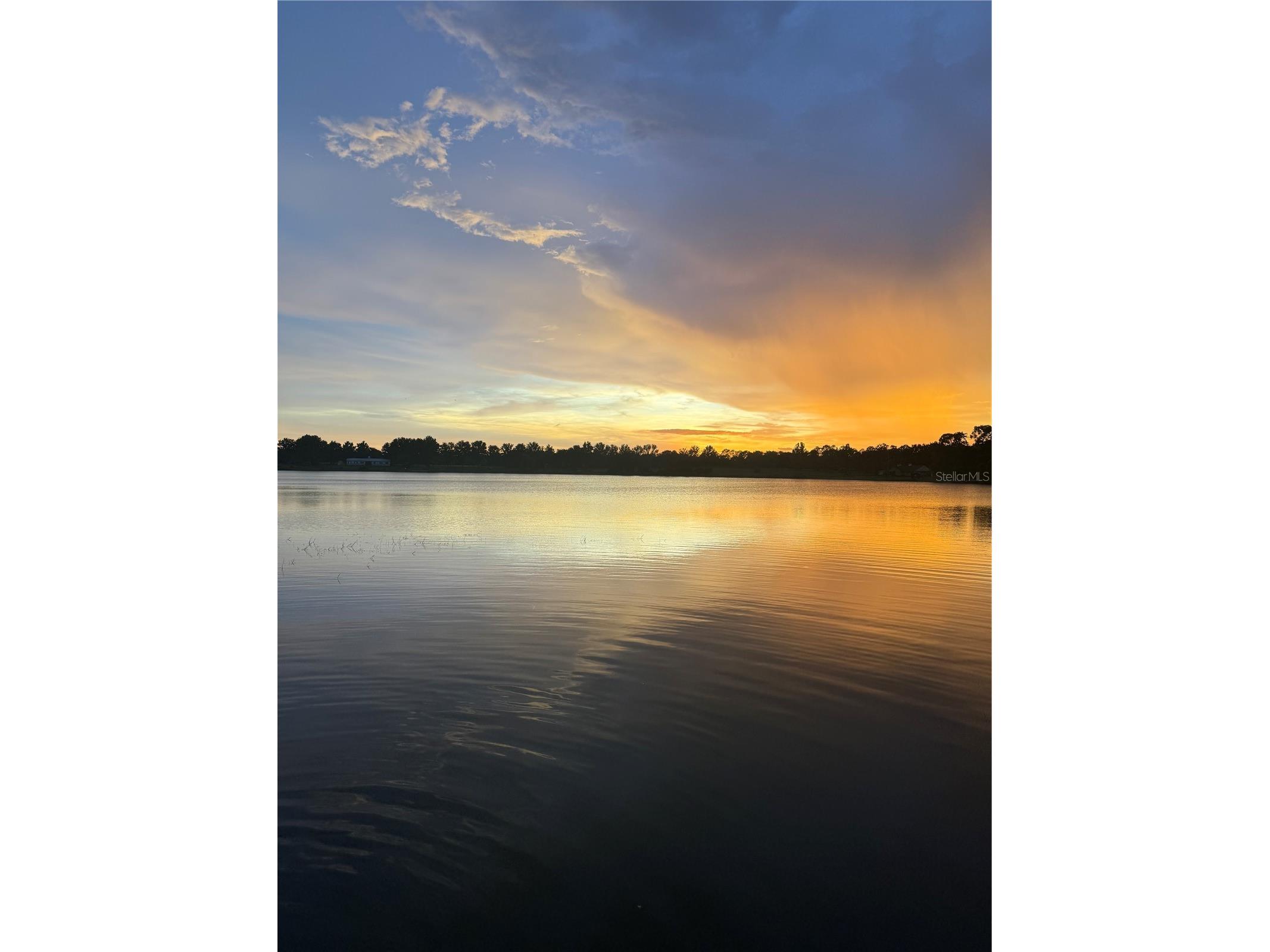 3385 Lake Diane Road Tavares FL 32778 - HARRIS CHAIN OF LAKES S5138112 image56