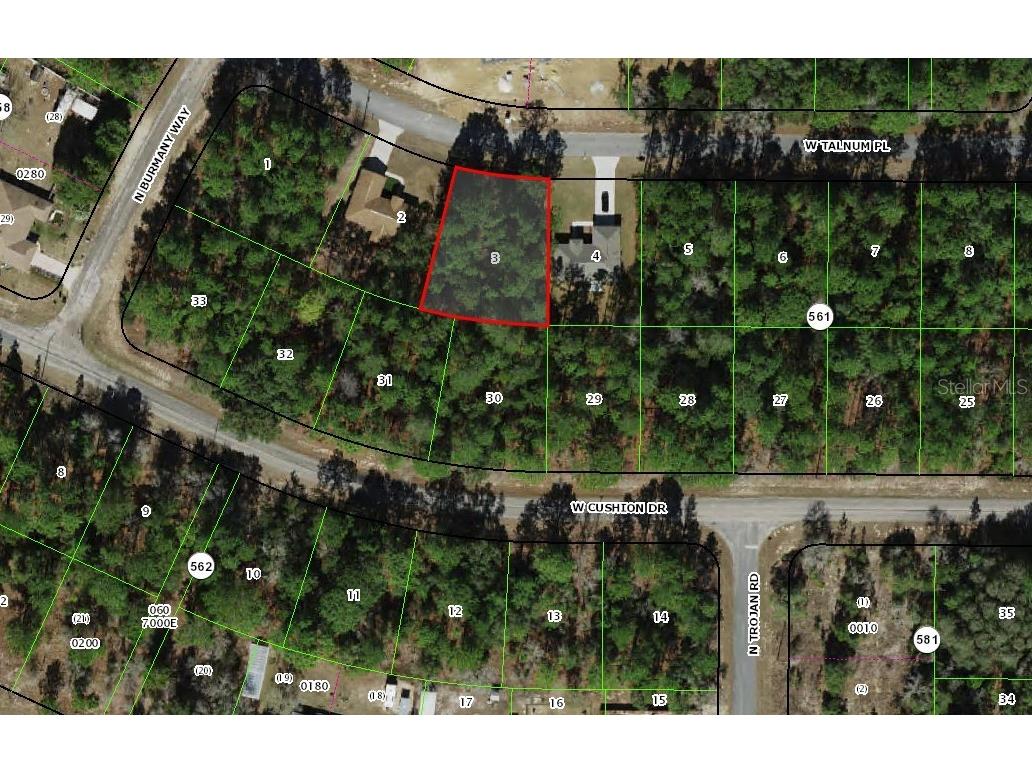 3386 W Talinum Place Citrus Springs FL 34433 W7863604 image1