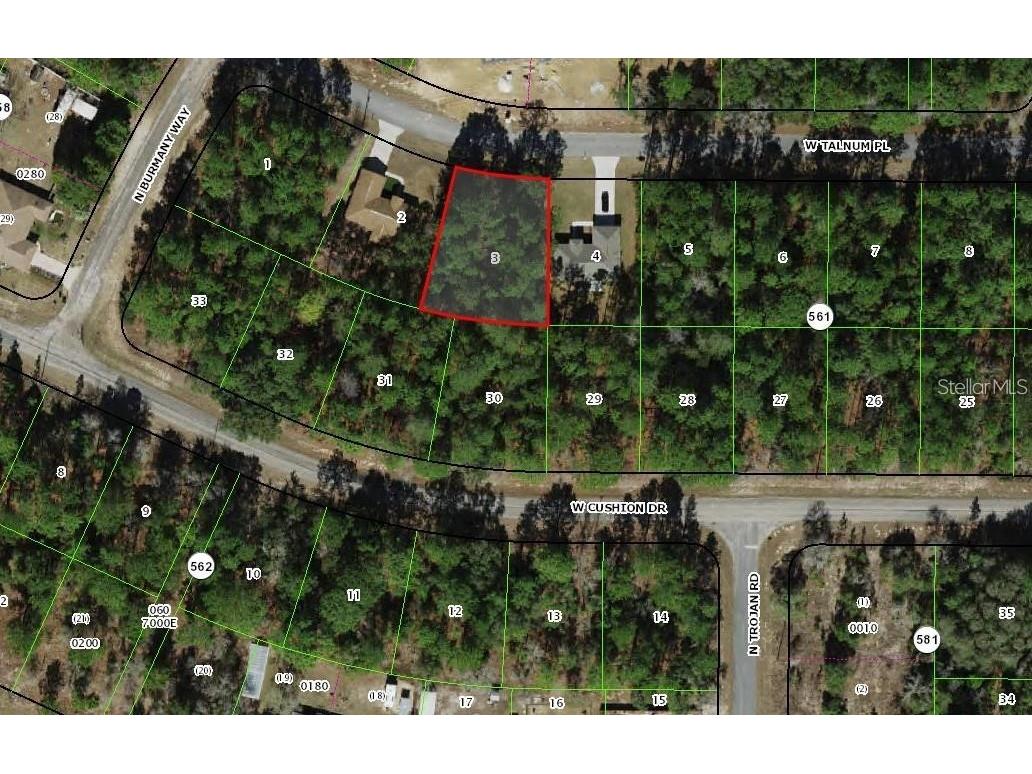 3386 W Talinum Place Citrus Springs FL 34433 O6394874 image1