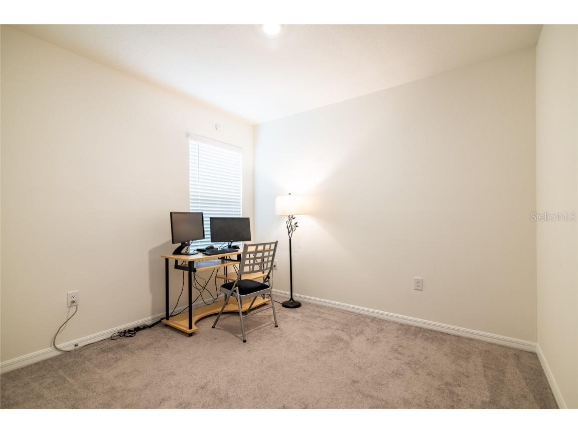 33860 Jasmine Star Loop Wesley Chapel FL 33543 TB8427271 image10