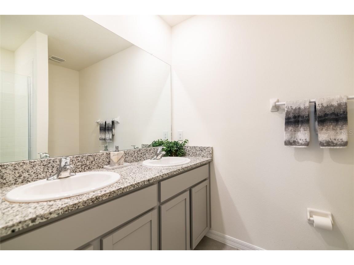 33860 Jasmine Star Loop Wesley Chapel FL 33543 TB8427271 image5