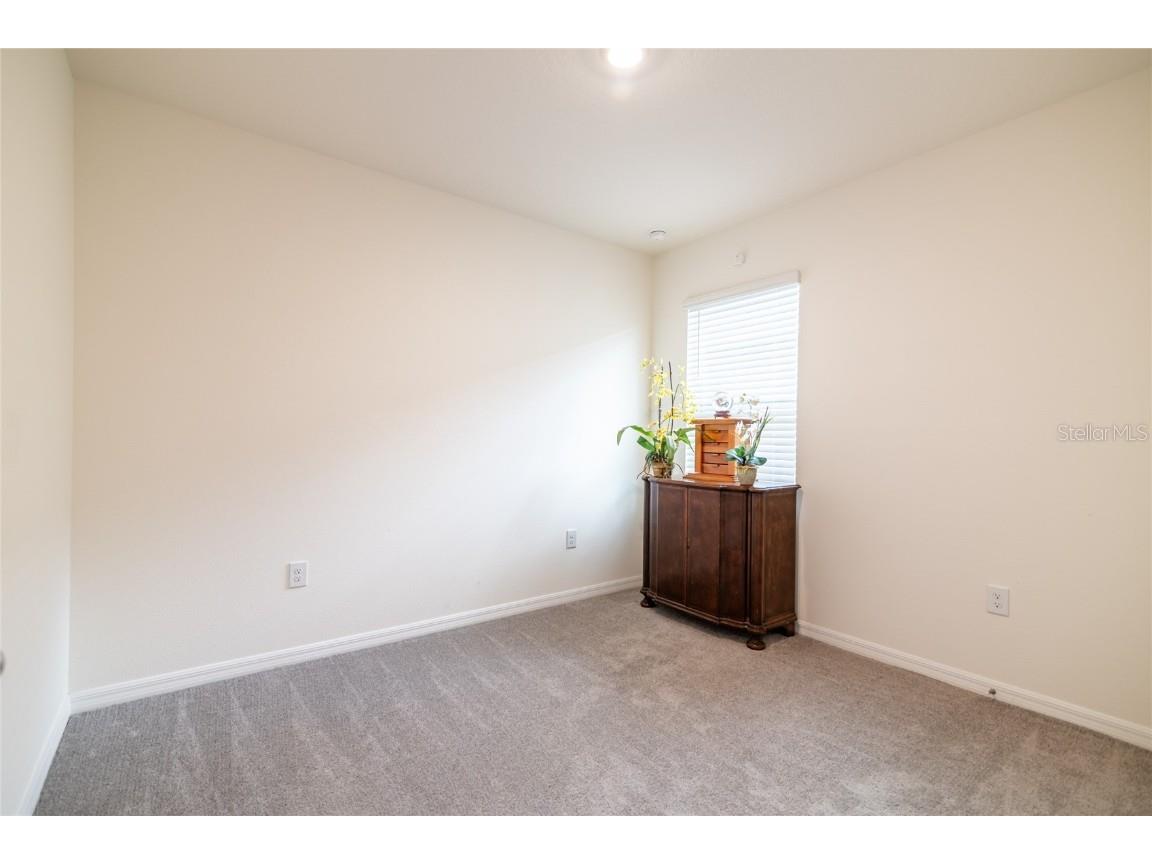 33860 Jasmine Star Loop Wesley Chapel FL 33543 TB8427271 image8