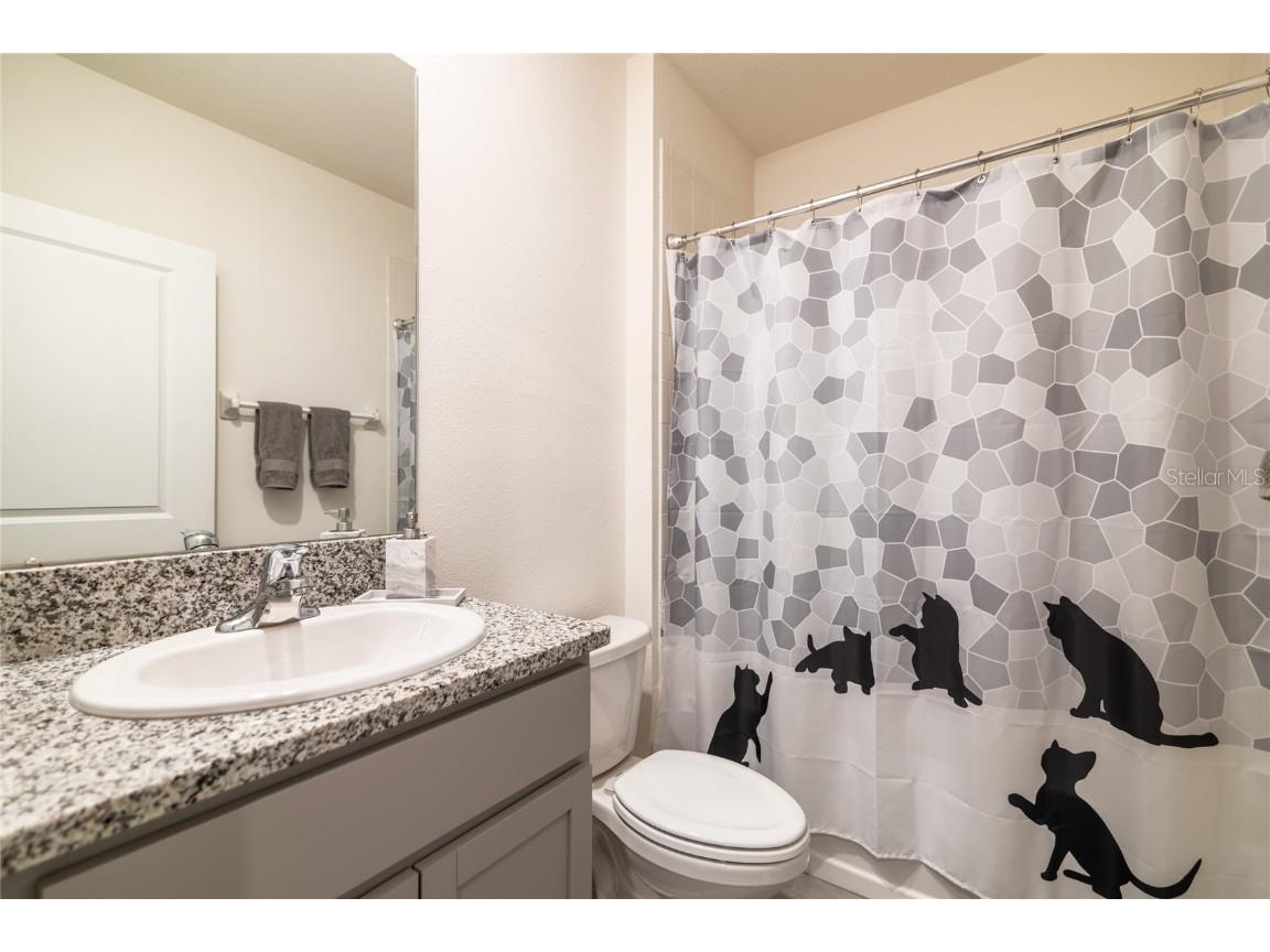 33860 Jasmine Star Loop Wesley Chapel FL 33543 TB8427271 image9