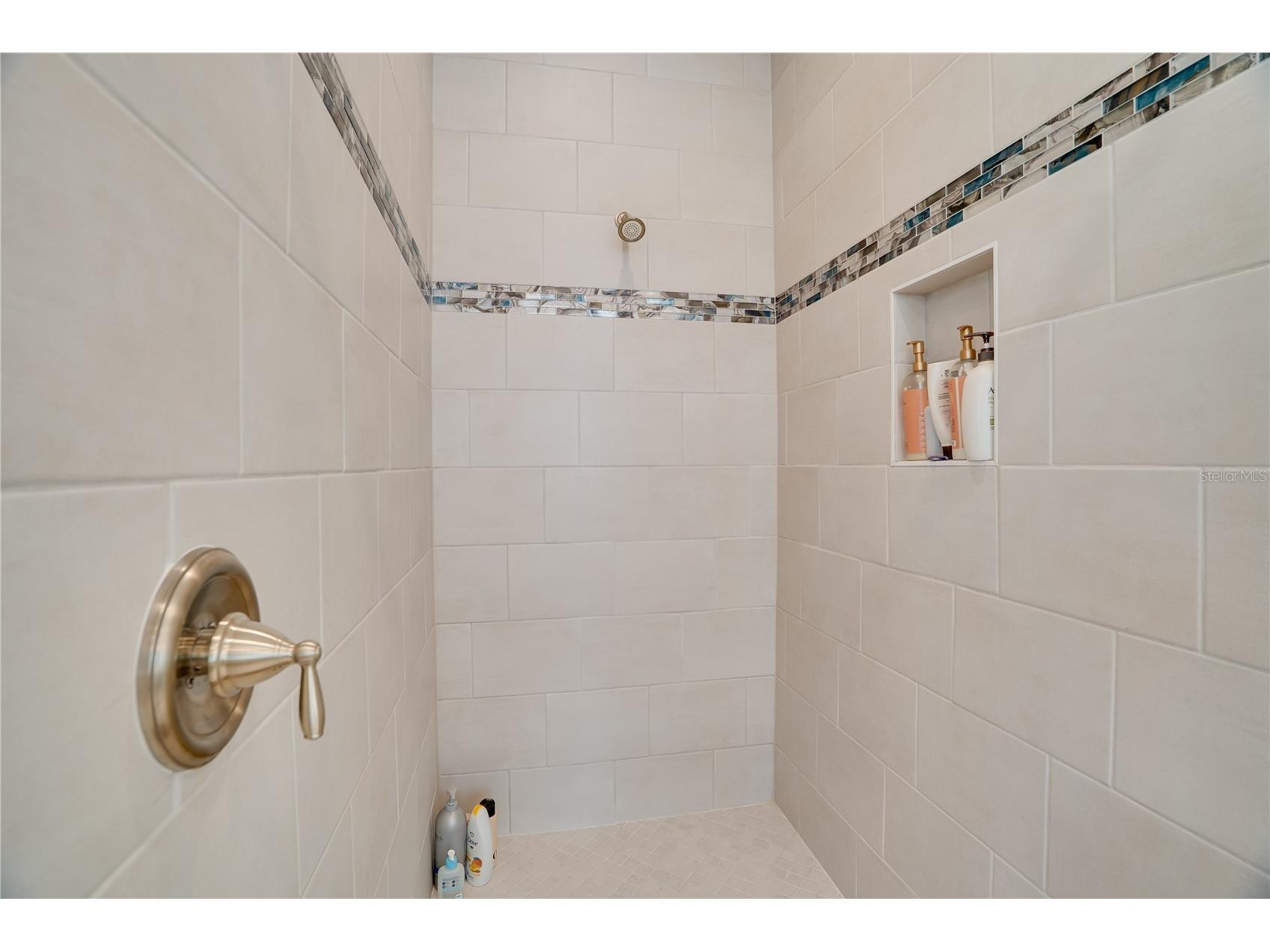 3387 Juniper Springs Street Wesley Chapel FL 33543 TB8459867 image49