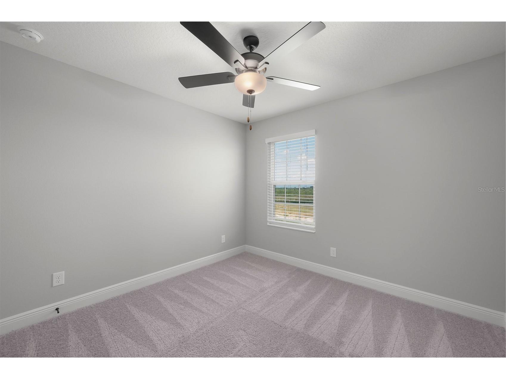 3388 Chinotto Drive Lake Alfred FL 33850 - GUM LAKE TB8445781 image28