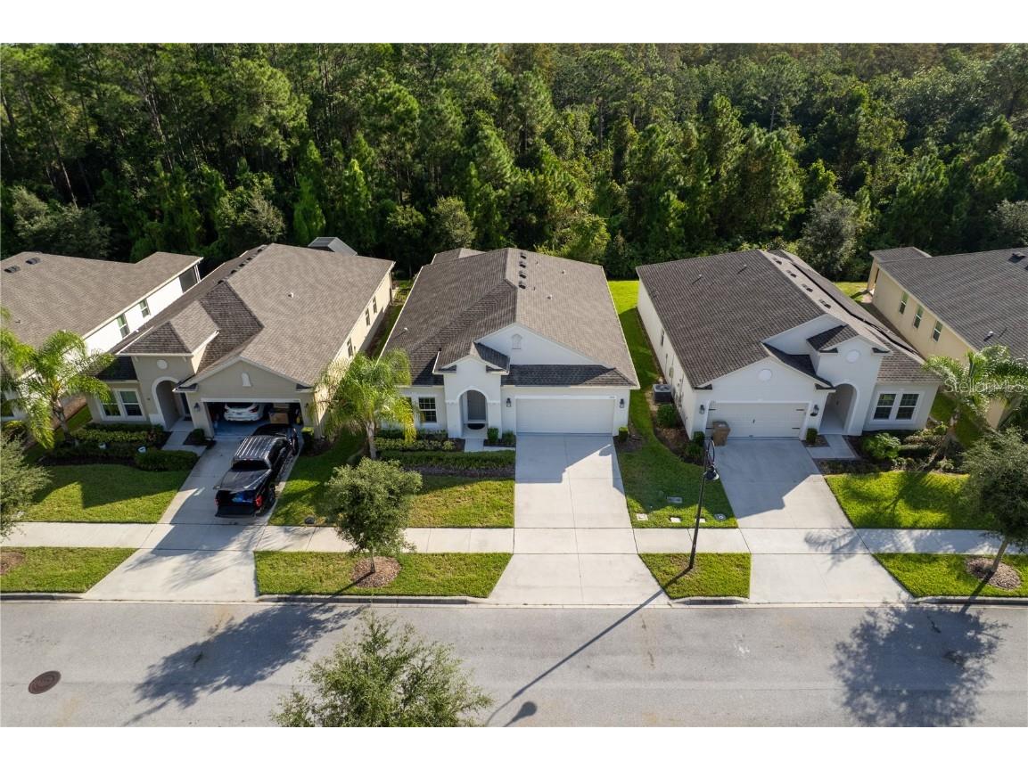 3388 Sagebrush Street Harmony FL 34773 - Buck Lake O6351645 image1