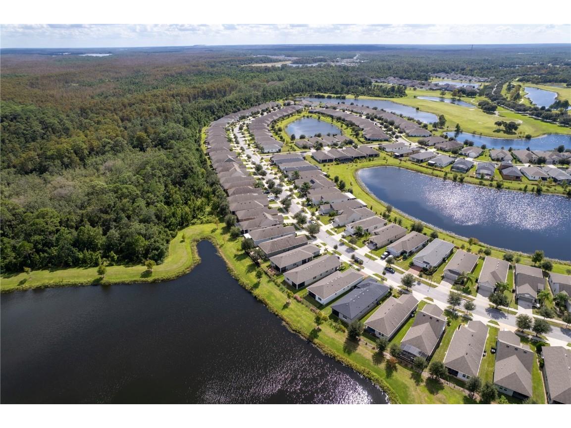 3388 Sagebrush Street Harmony FL 34773 - Buck Lake O6351645 image11