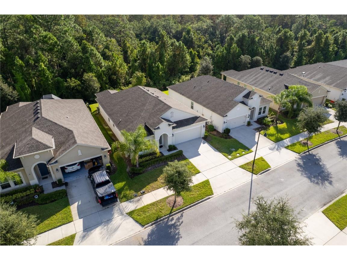 3388 Sagebrush Street Harmony FL 34773 - Buck Lake O6351645 image3