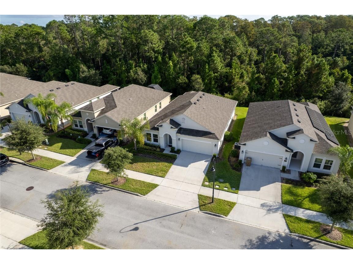 3388 Sagebrush Street Harmony FL 34773 - Buck Lake O6351645 image4