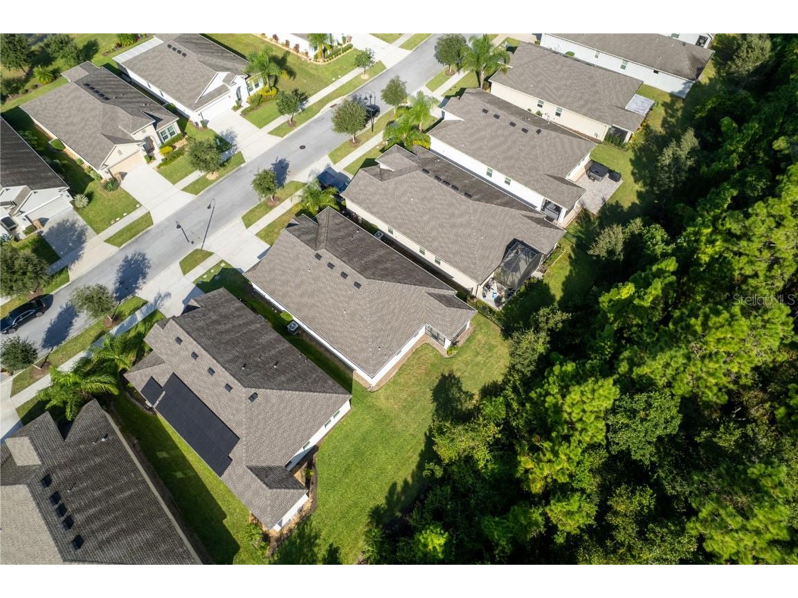 3388 Sagebrush Street Harmony FL 34773 - Buck Lake O6351645 image7