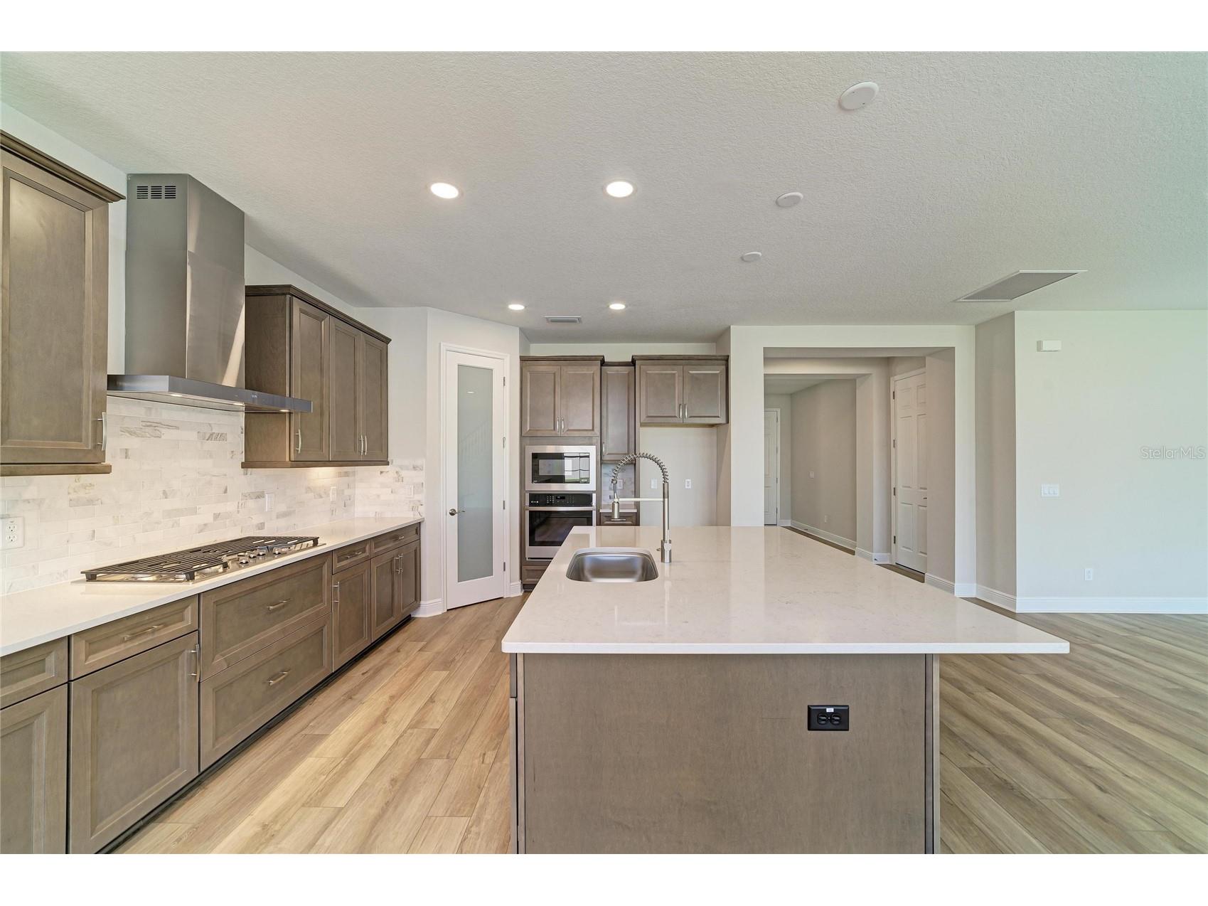 33882 Twilight Sea Place Dade City FL 33525 TB8467884 image14