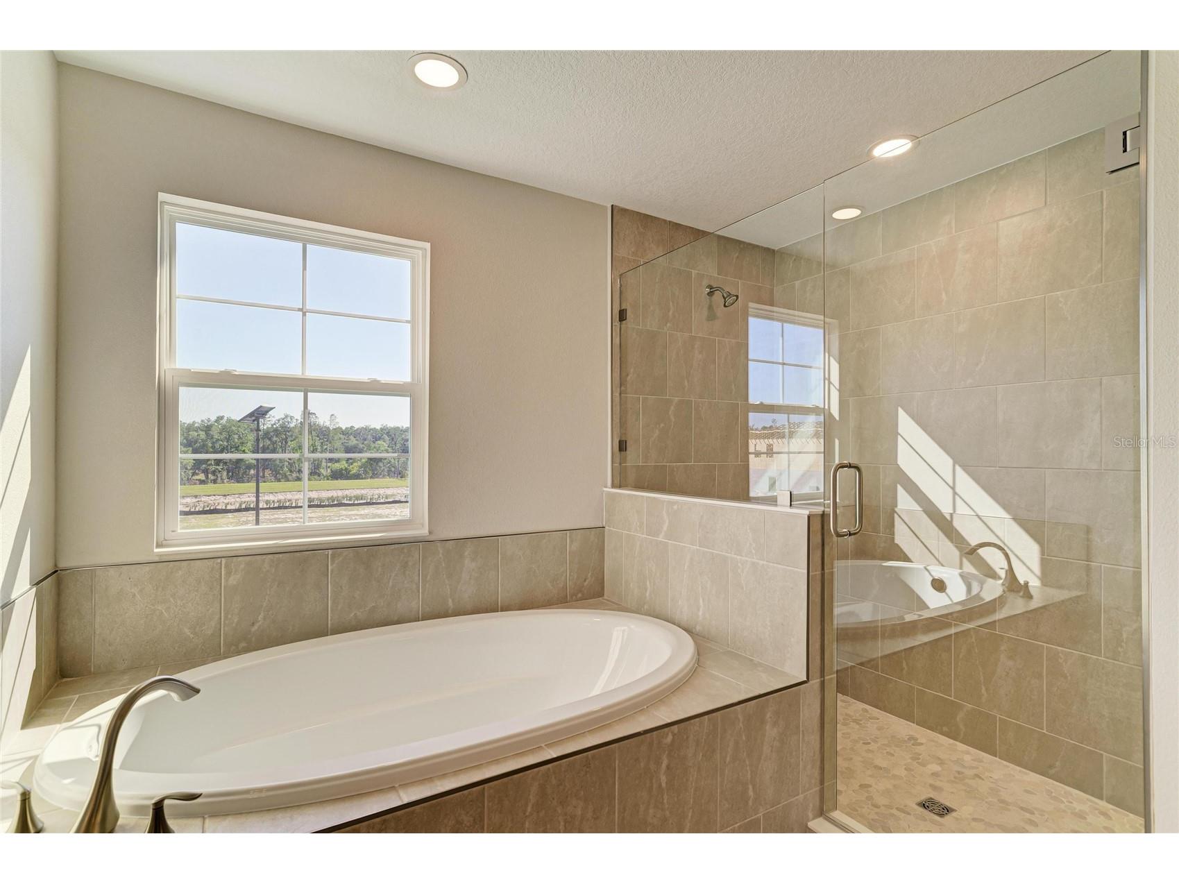 33882 Twilight Sea Place Dade City FL 33525 TB8467884 image9