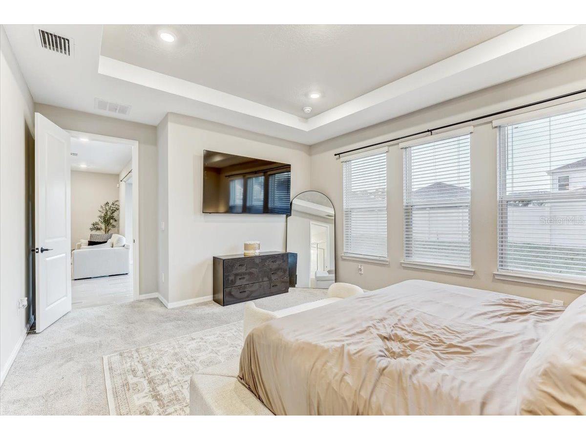 33886 Landsman Loop Wesley Chapel FL 33543 TB8517614 image18