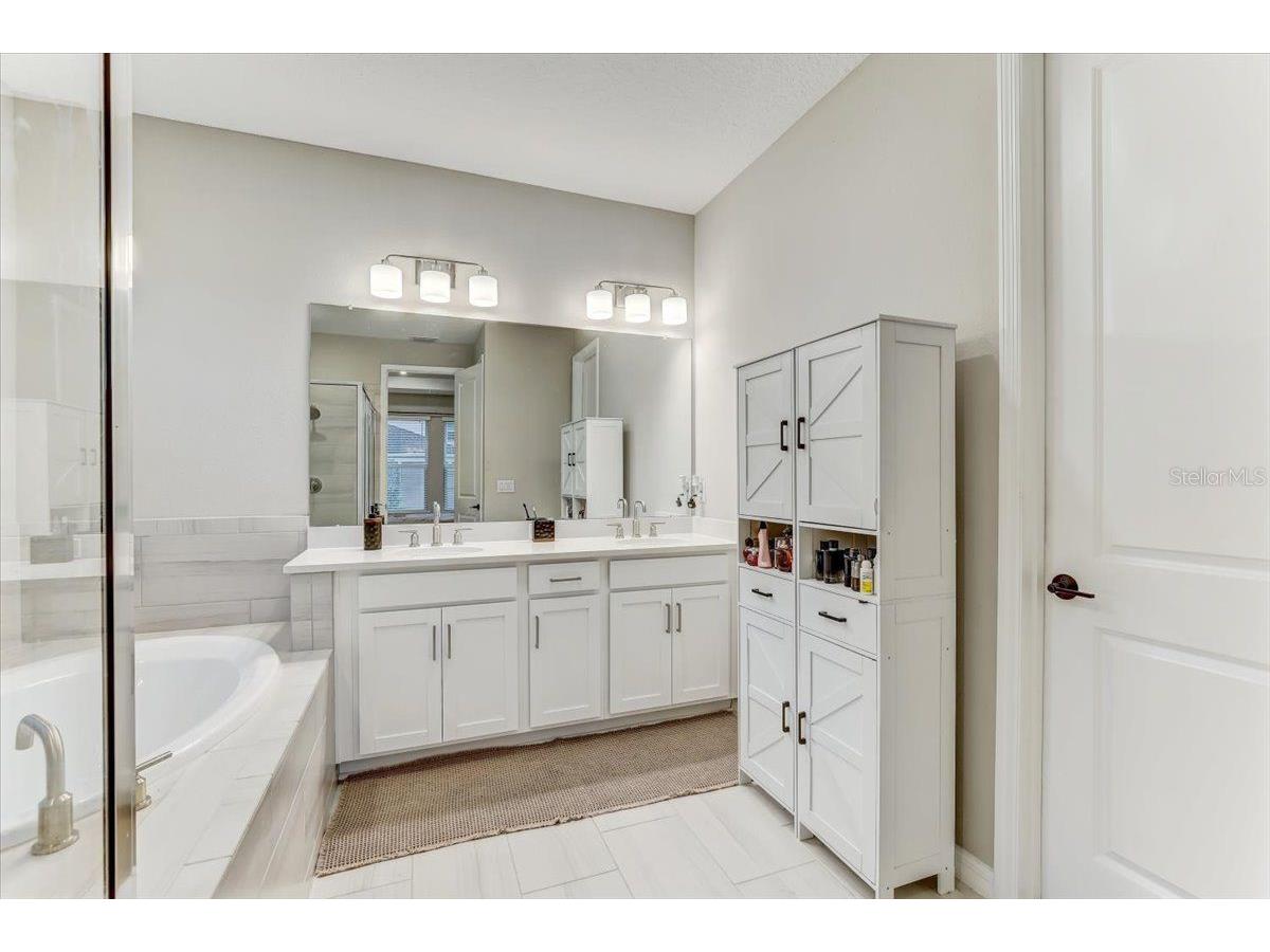 33886 Landsman Loop Wesley Chapel FL 33543 TB8517614 image19