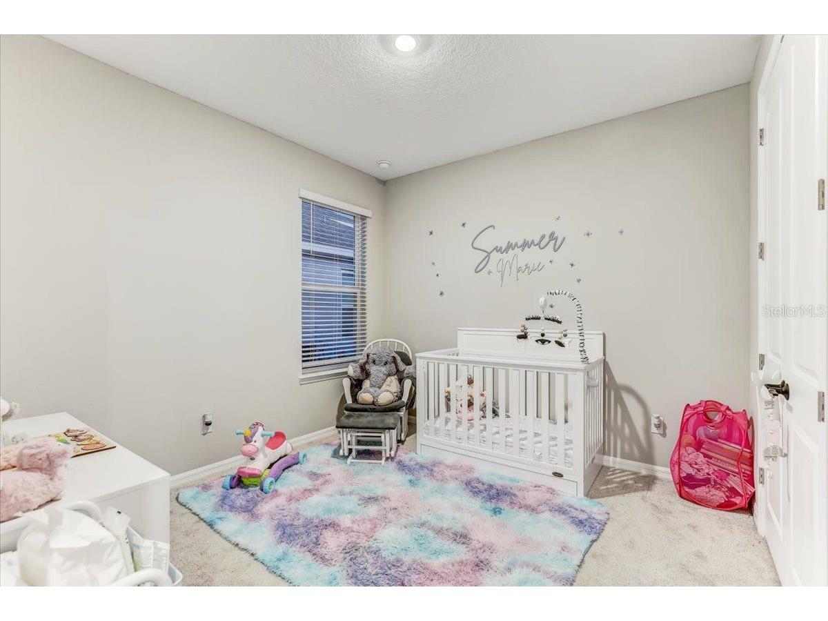 33886 Landsman Loop Wesley Chapel FL 33543 TB8517614 image22