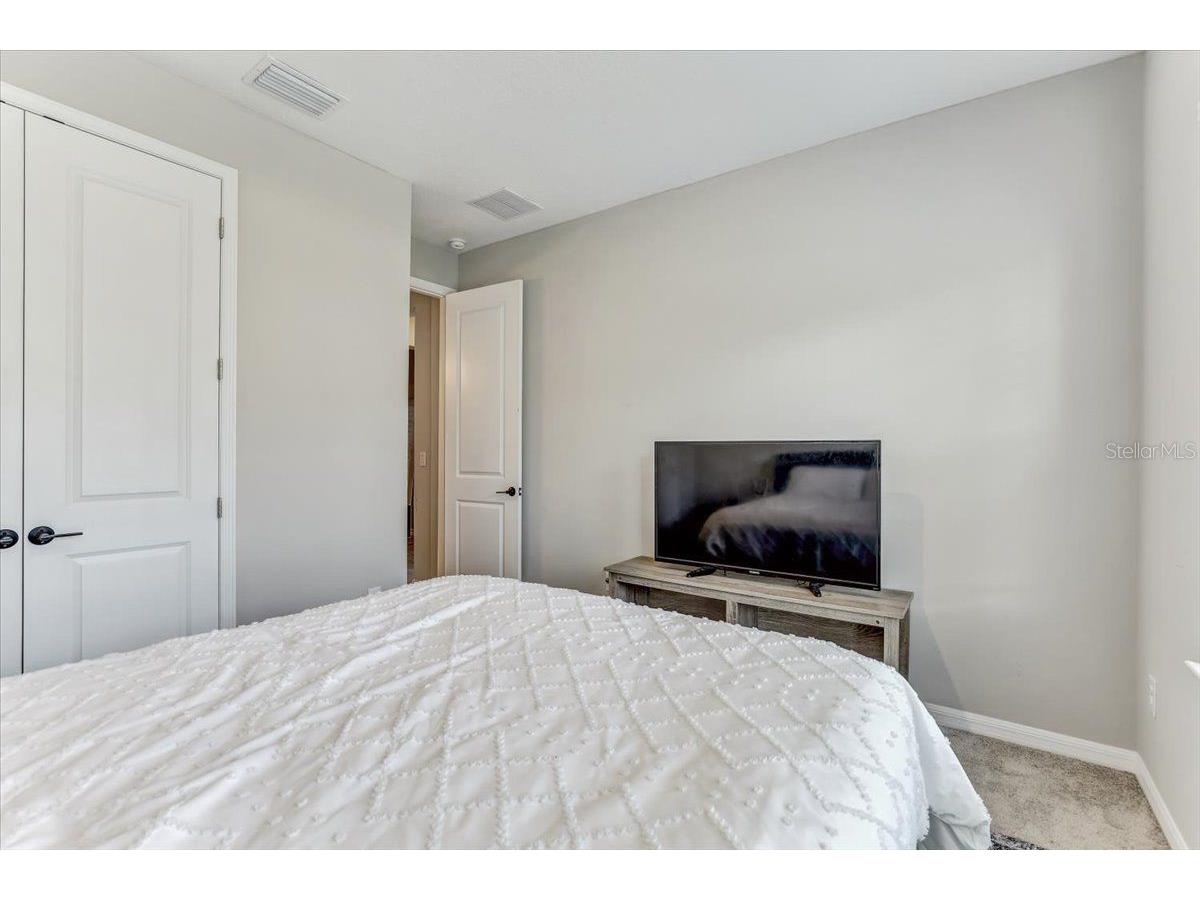33886 Landsman Loop Wesley Chapel FL 33543 TB8517614 image26