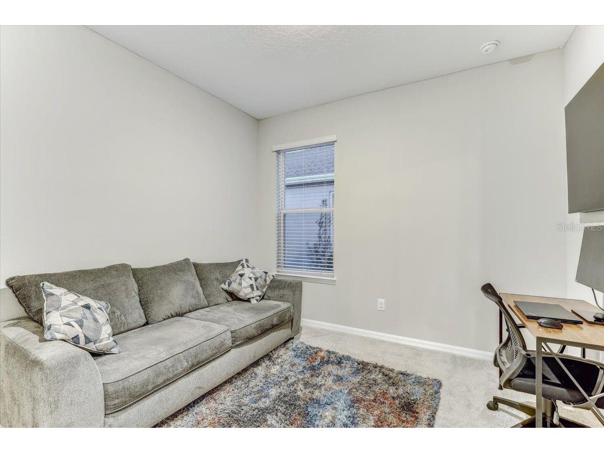 33886 Landsman Loop Wesley Chapel FL 33543 TB8517614 image29