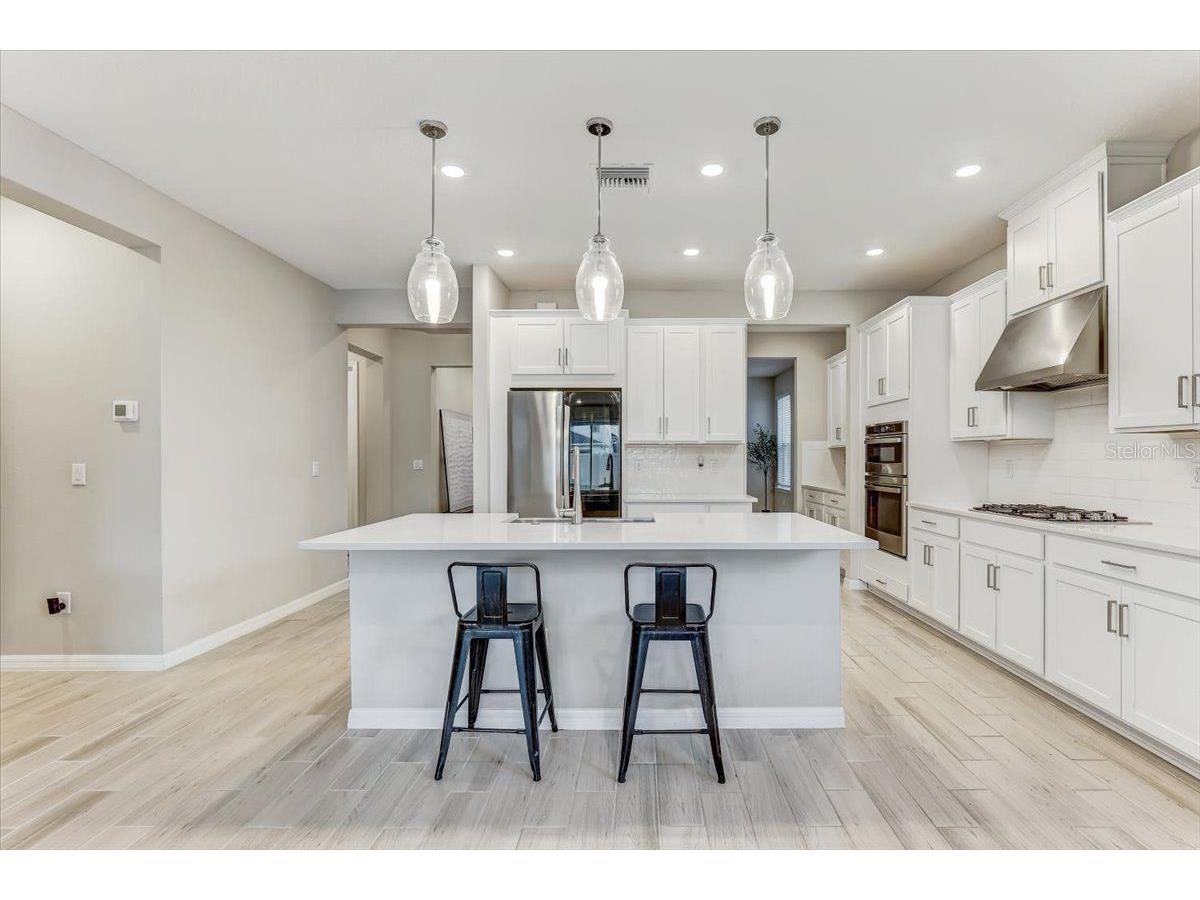 33886 Landsman Loop Wesley Chapel FL 33543 TB8517614 image5