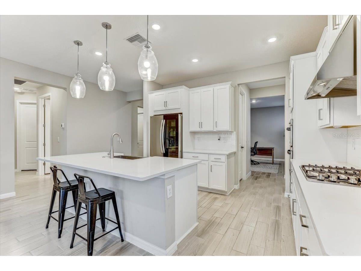33886 Landsman Loop Wesley Chapel FL 33543 TB8517614 image6
