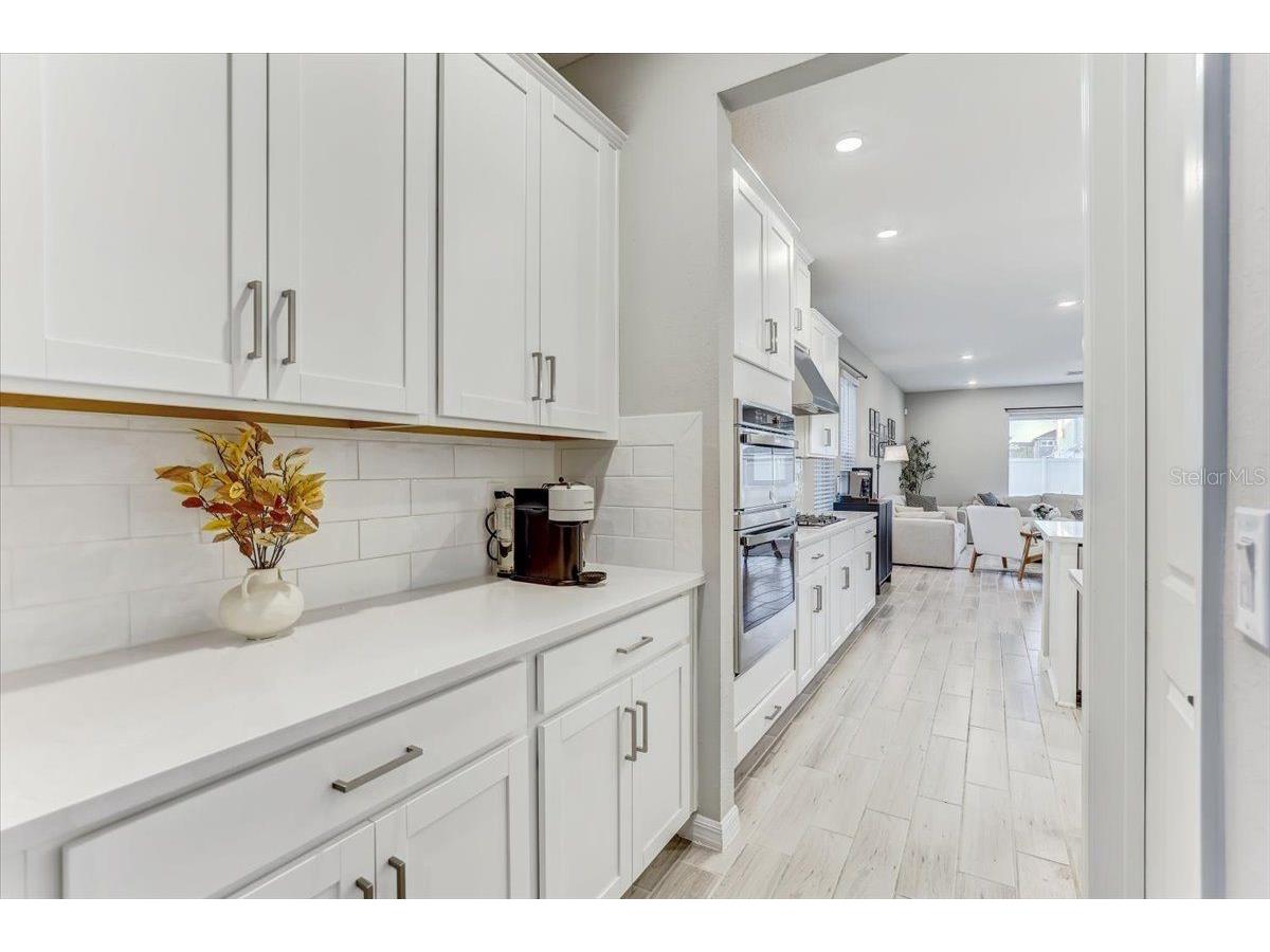 33886 Landsman Loop Wesley Chapel FL 33543 TB8517614 image8