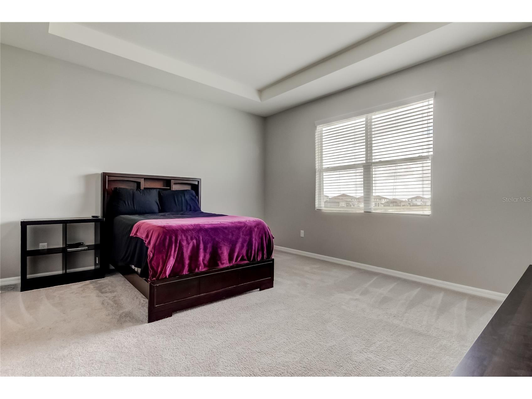 33888 Field Maple Loop Wesley Chapel FL 33545 TB8486336 image27