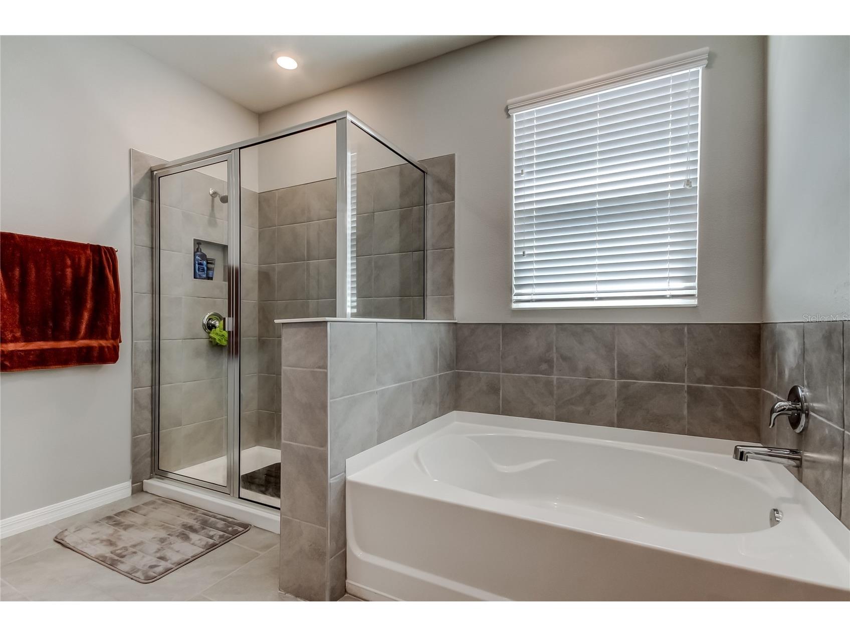 33888 Field Maple Loop Wesley Chapel FL 33545 TB8486336 image30