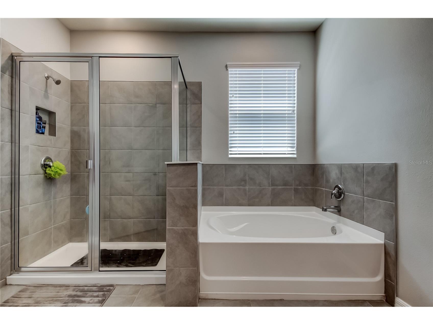 33888 Field Maple Loop Wesley Chapel FL 33545 TB8486336 image31