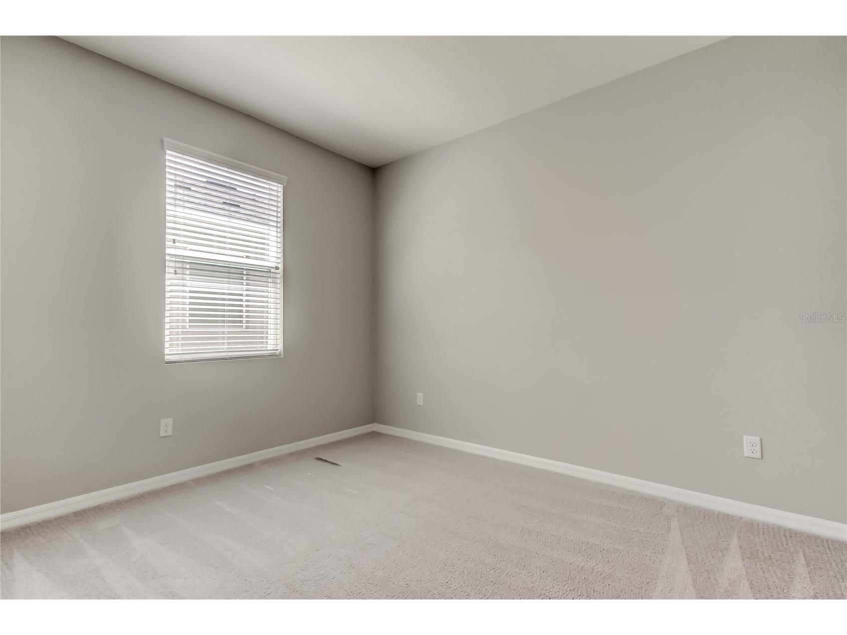 33888 Field Maple Loop Wesley Chapel FL 33545 TB8486336 image34