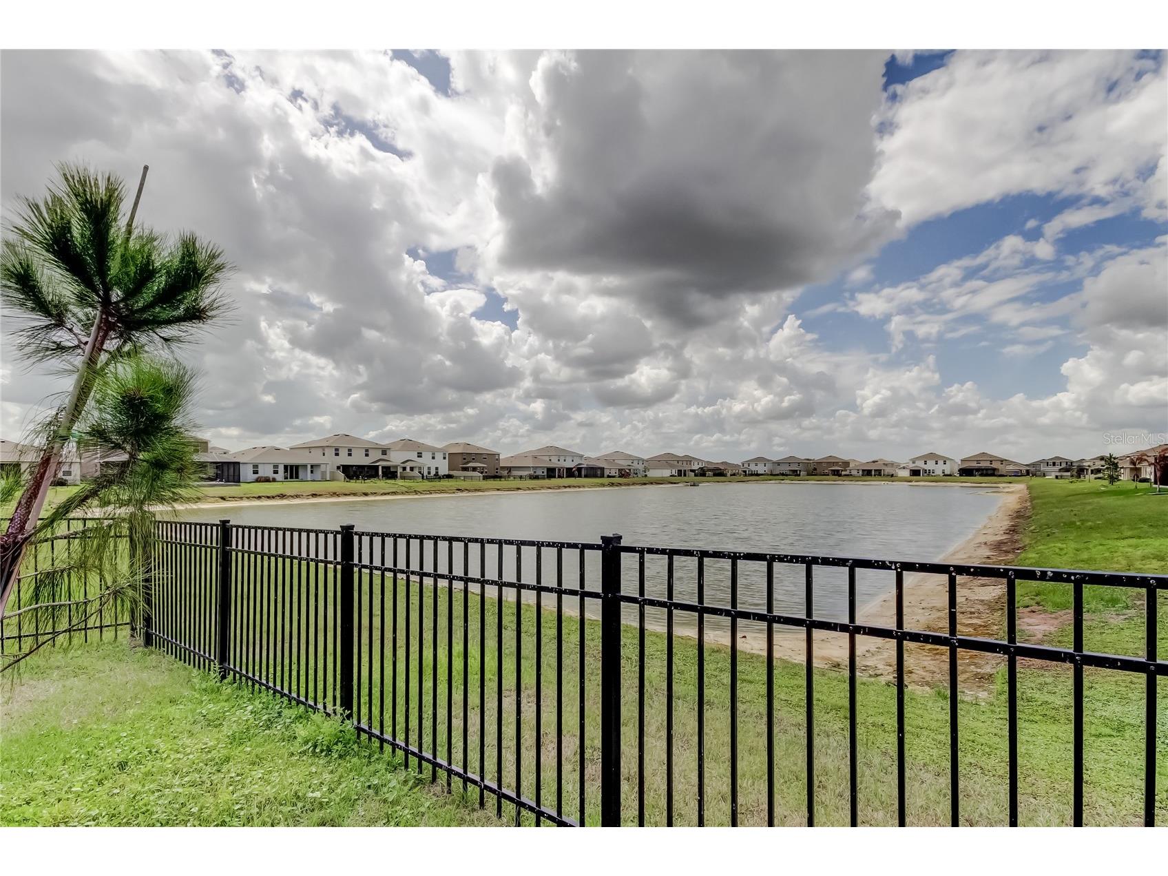 33888 Field Maple Loop Wesley Chapel FL 33545 TB8486336 image49