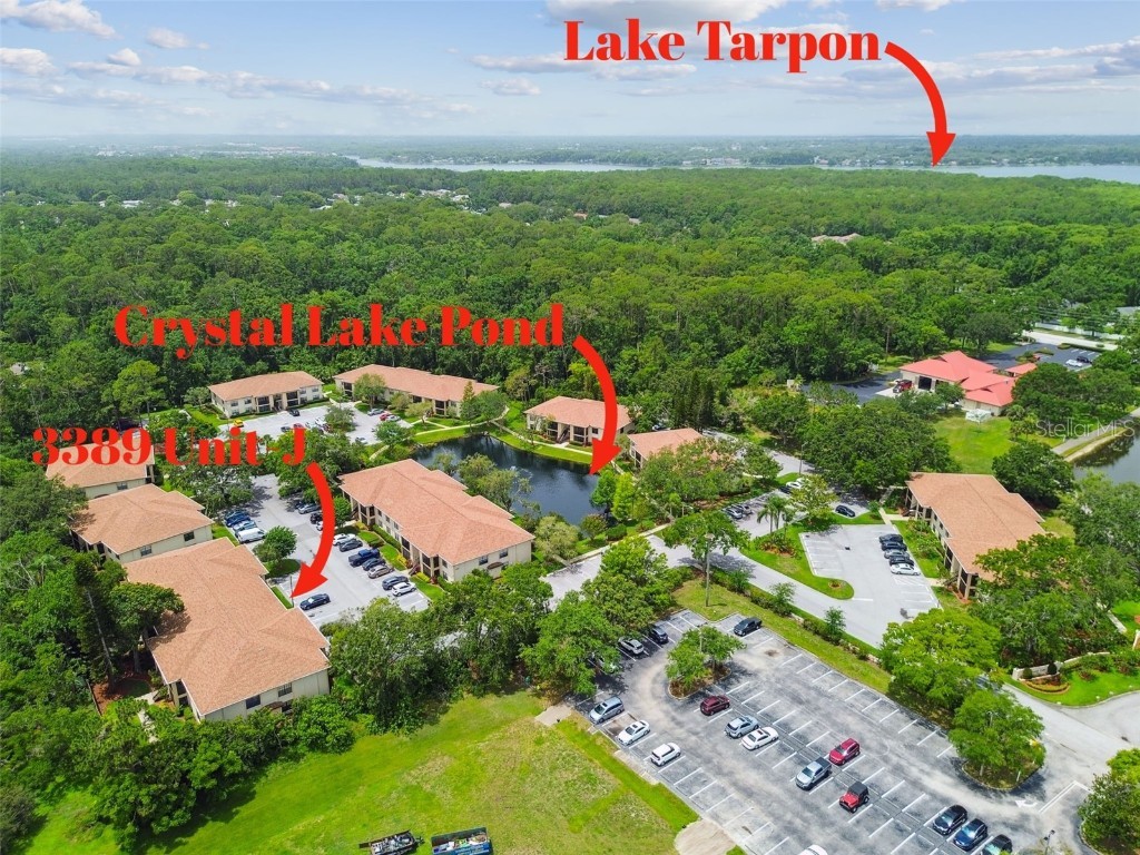 3389 Crystal Court E #J Palm Harbor FL 34685 TB8394205 image28