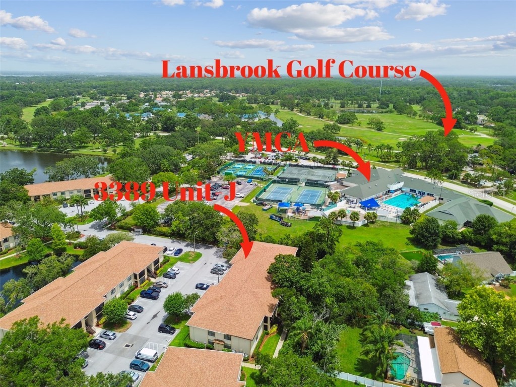 3389 Crystal Court E #J Palm Harbor FL 34685 TB8394205 image29