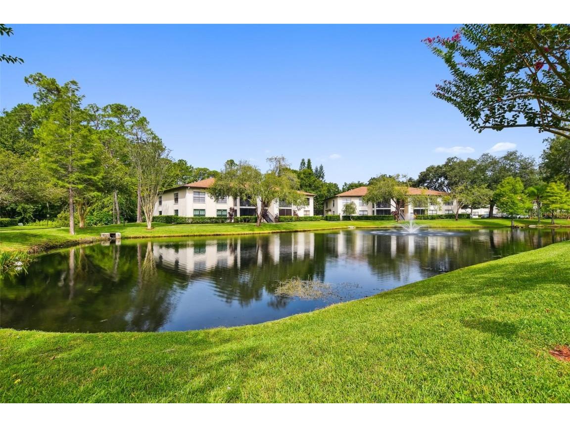 3389 Crystal Court E #J Palm Harbor FL 34685 TB8394205 image32