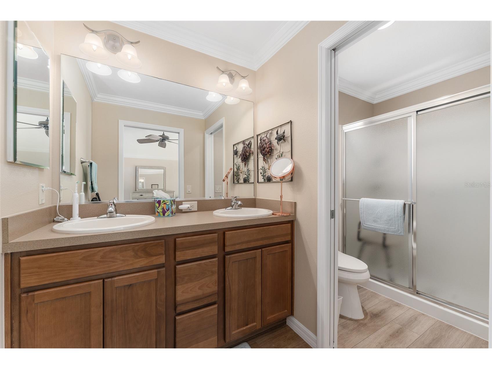 3389 Lazy Acres Lane The Villages FL 32163 G5107270 image37