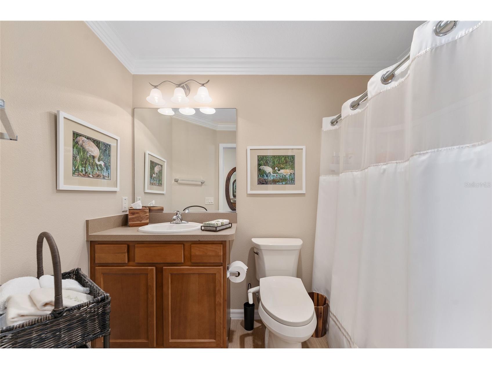 3389 Lazy Acres Lane The Villages FL 32163 G5107270 image46