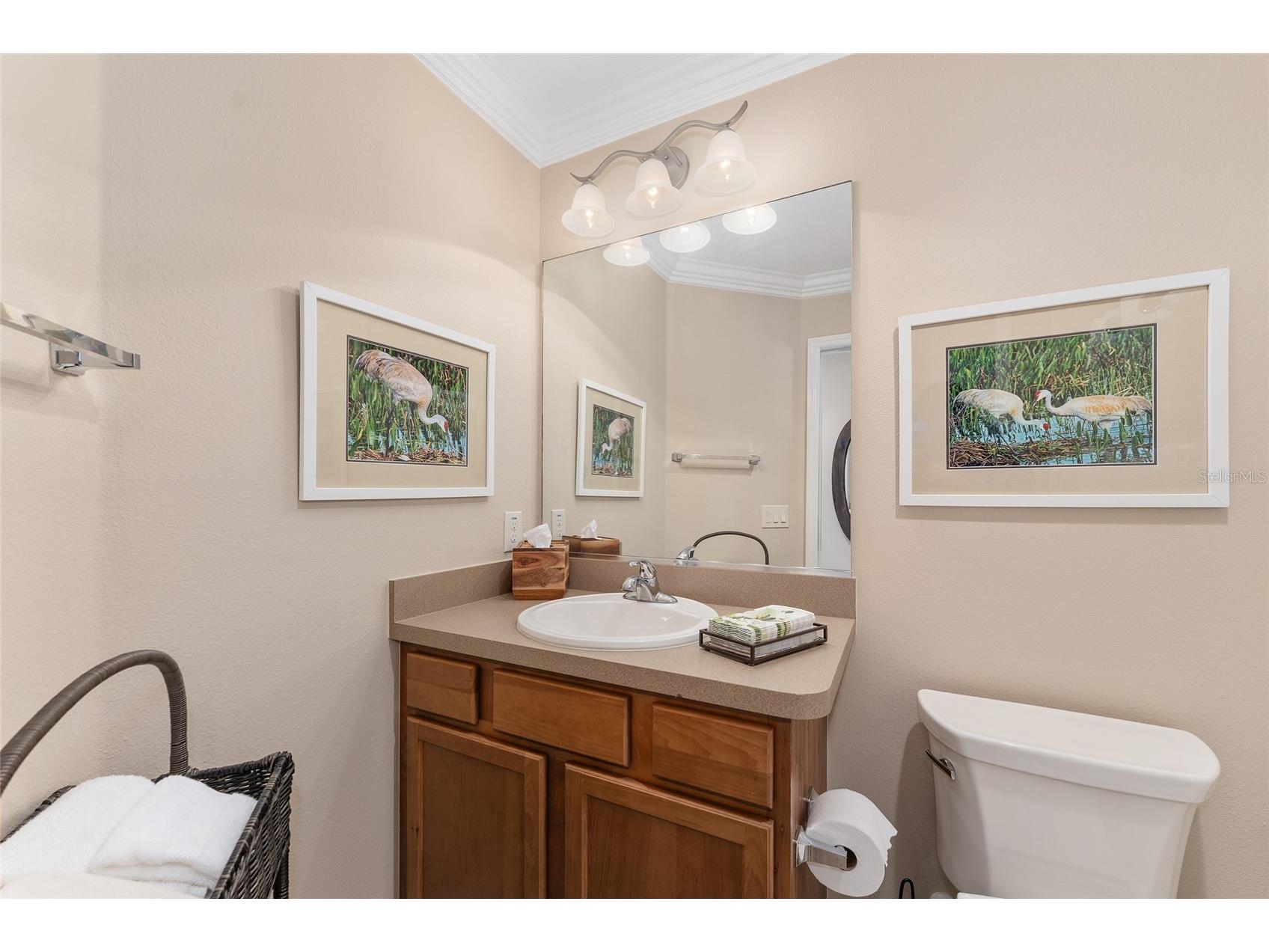 3389 Lazy Acres Lane The Villages FL 32163 G5107270 image47