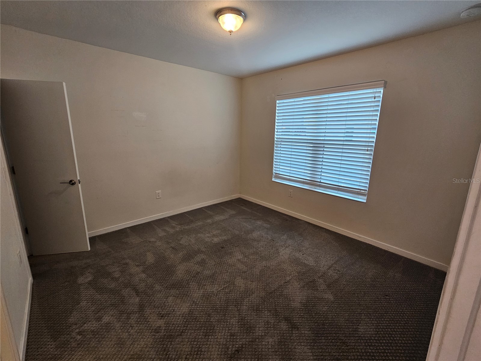 339 8th Street N Saint Petersburg FL 33701 TB8524772 image12