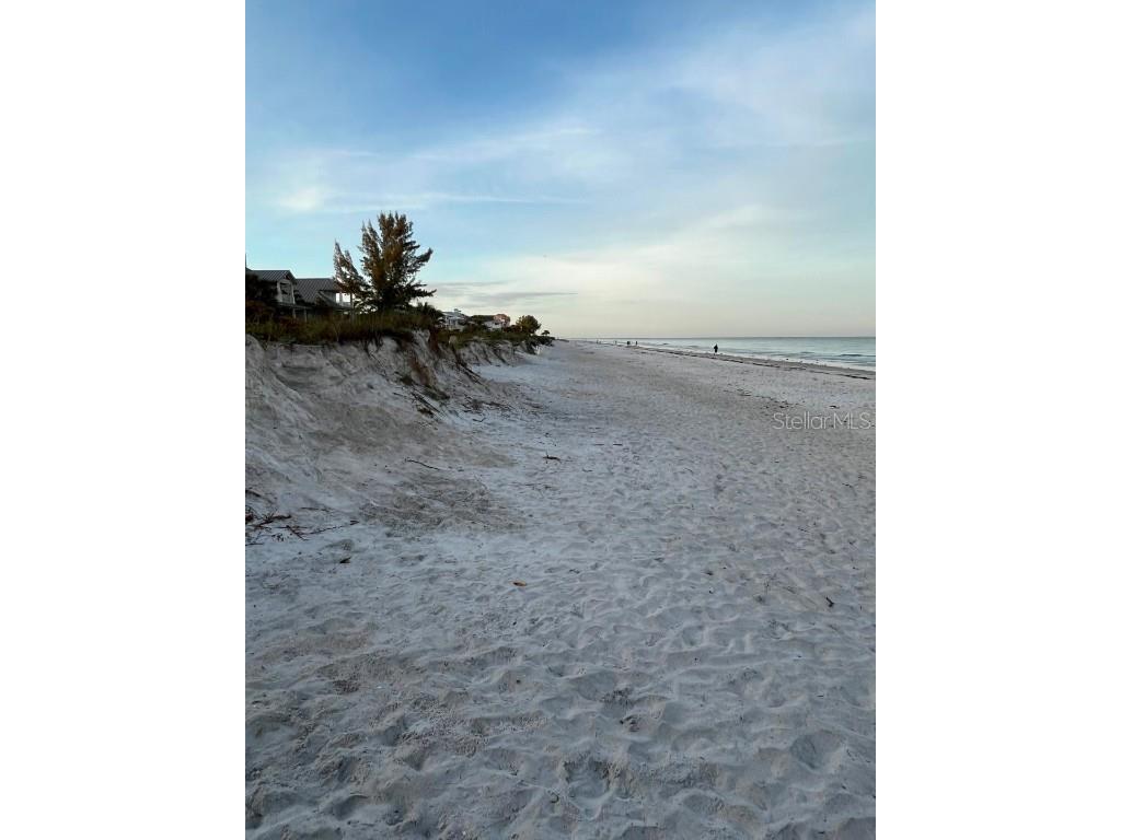 339 Bahia Vista Drive Indian Rocks Beach FL 33785 U8236554 image18