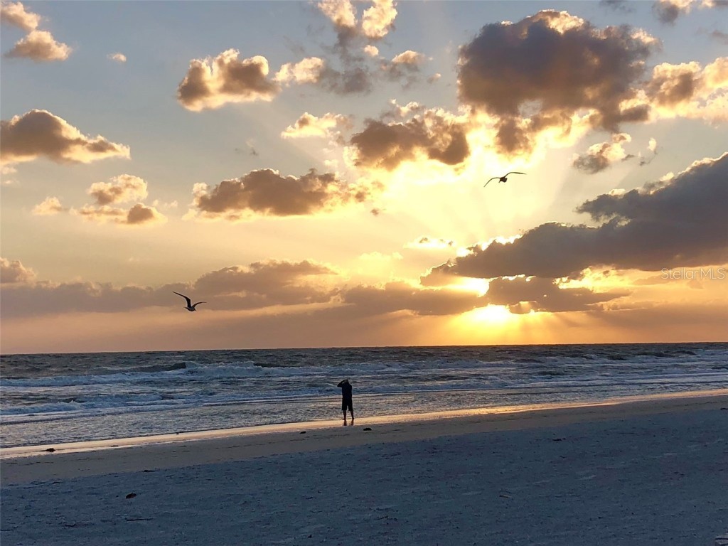 339 Bath Club Boulevard S North Redington Beach FL 33708 - BOCA CIEGA BAY TB8440165 image55