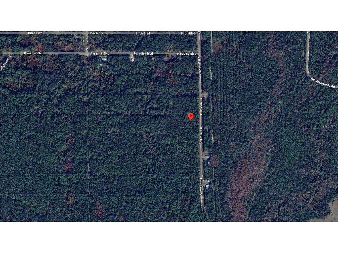 339 Chipola Drive Interlachen FL 32148 OK225609 image2